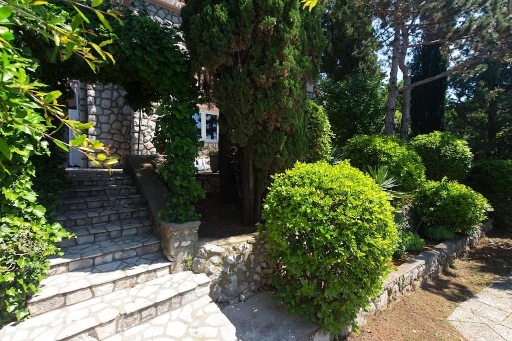 Villa Stefi Novi Vinodolski Exterior photo